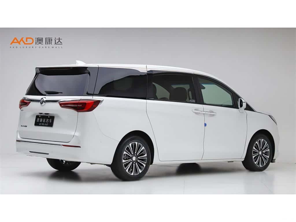 Buick GL8, 2020 3