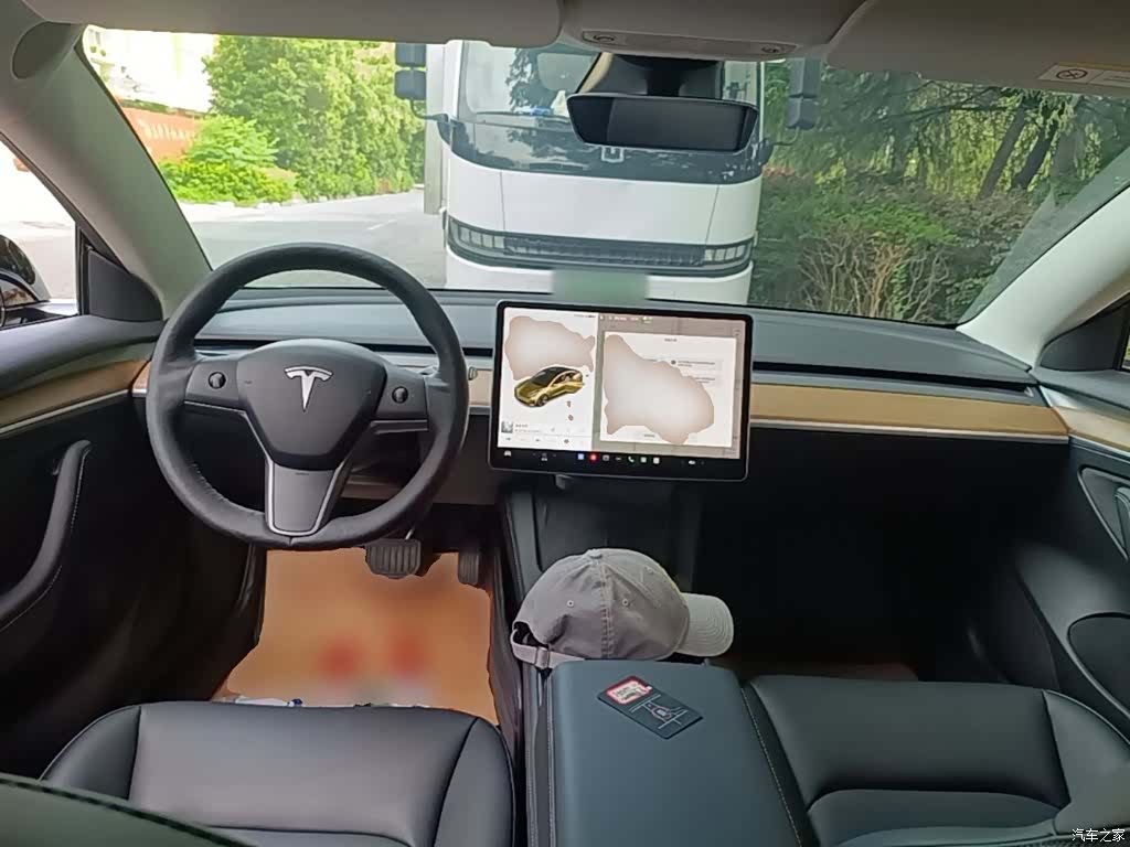 Tesla Model 3, 2021 10