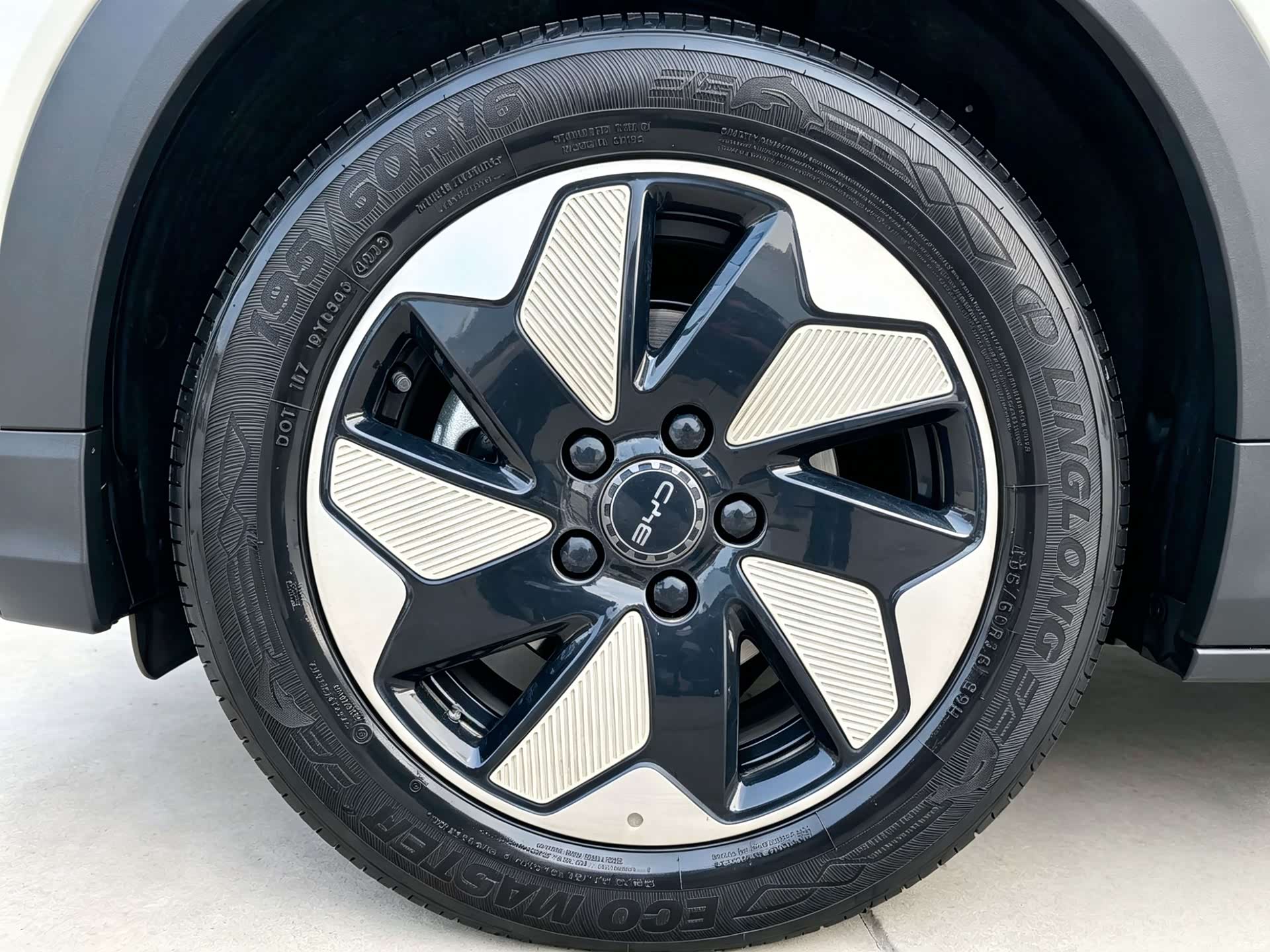 BYD Dolphin, 2025 19