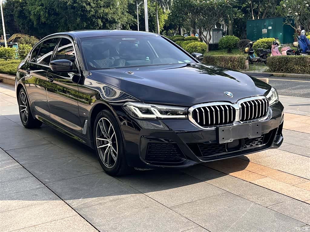BMW 5 Series, 2021 3