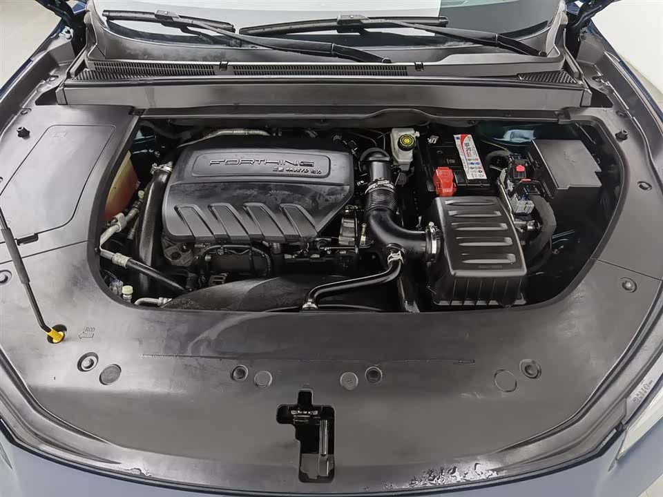 Forthing Popular T5 EVO