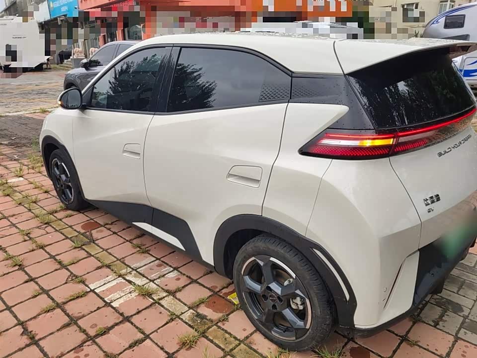 BYD Seagull