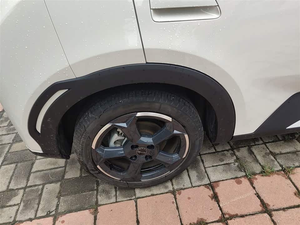 BYD Seagull