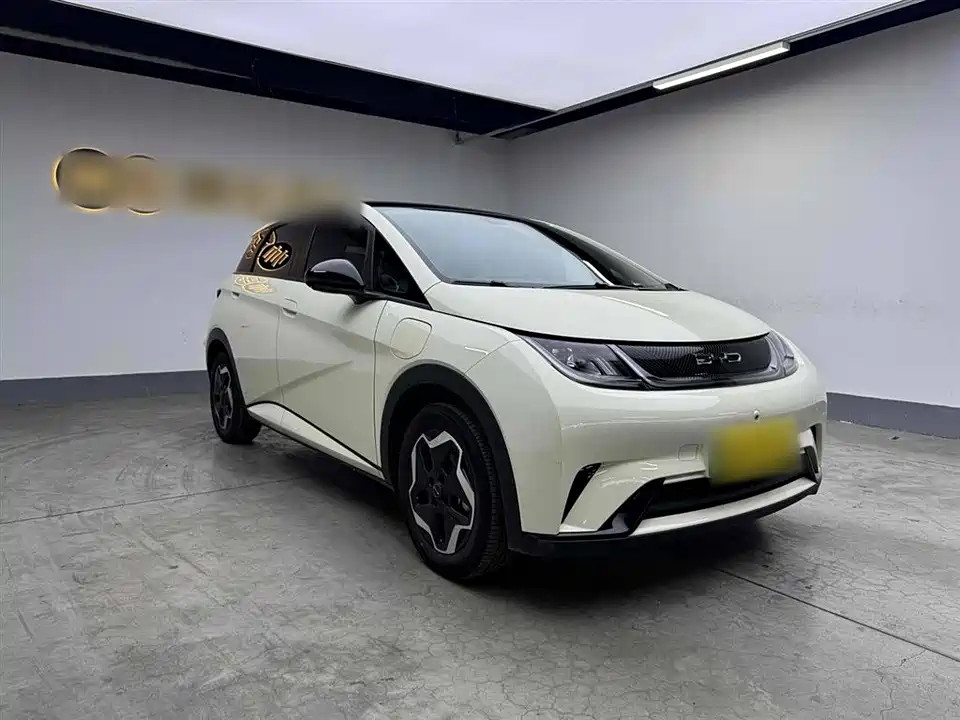BYD dolphin