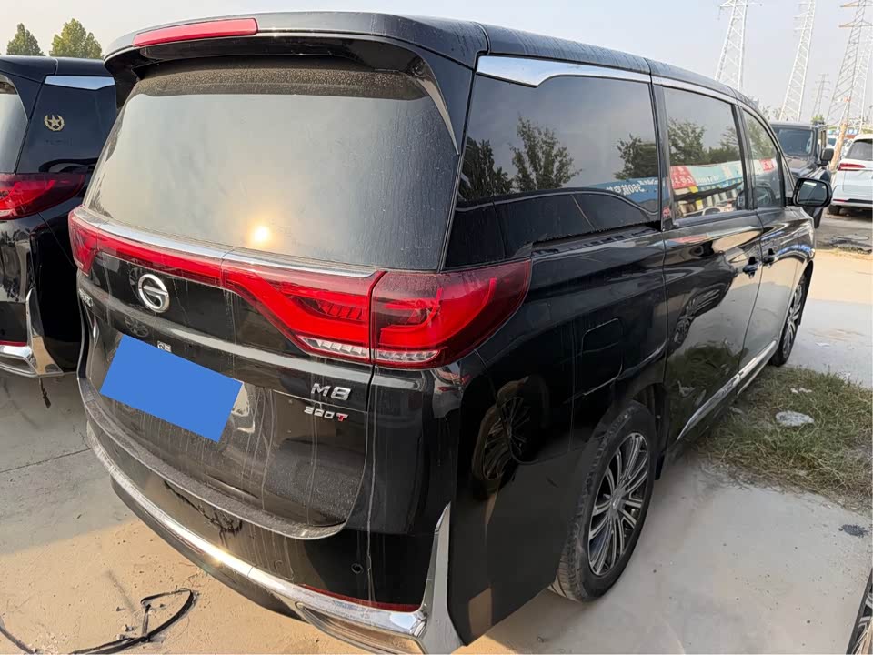 Trumpchi Trumpchi M8