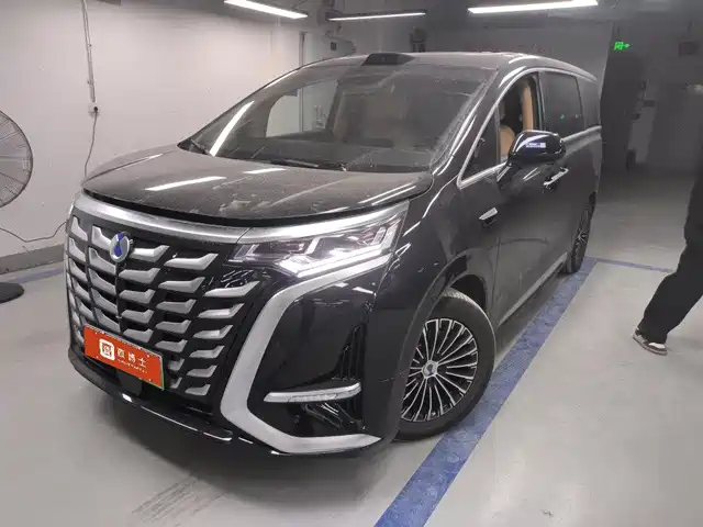 Denza D-9 2025 — купить из Китая под заказ