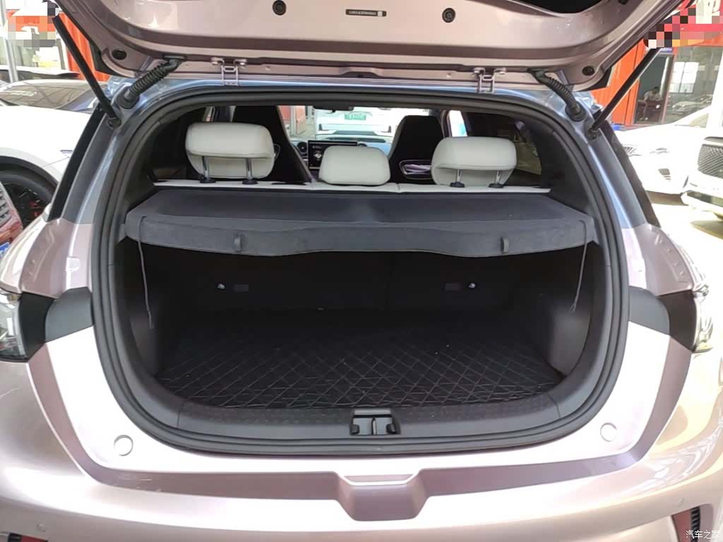 BYD Dolphin, 2024 15