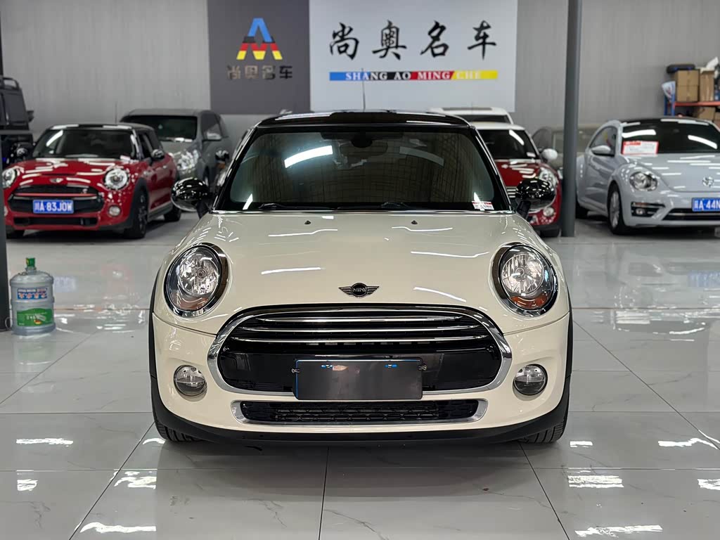Mini