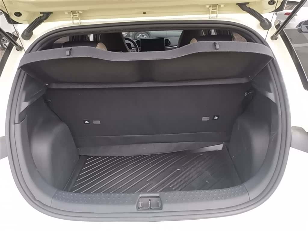 BYD Dolphin, 2023 19