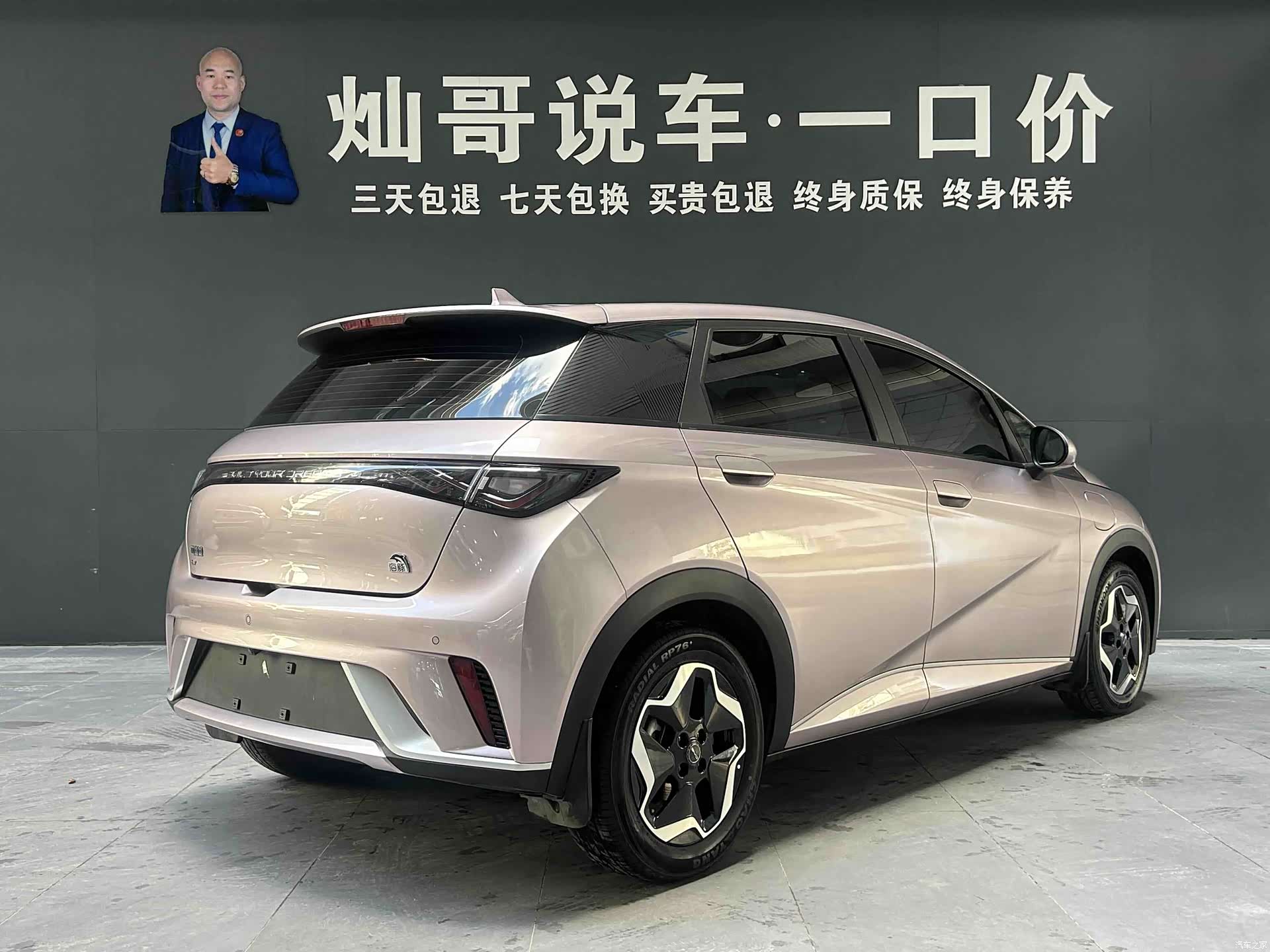 BYD Dolphin, 2022 6