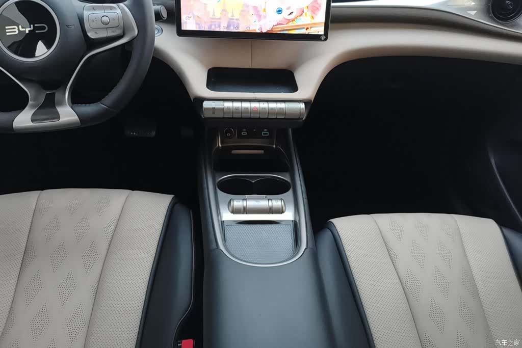 BYD Dolphin, 2024 16