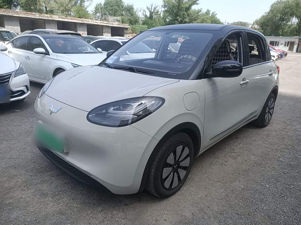 Wuling Binguo