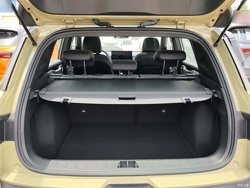Geely 1.5TD, 2024 19
