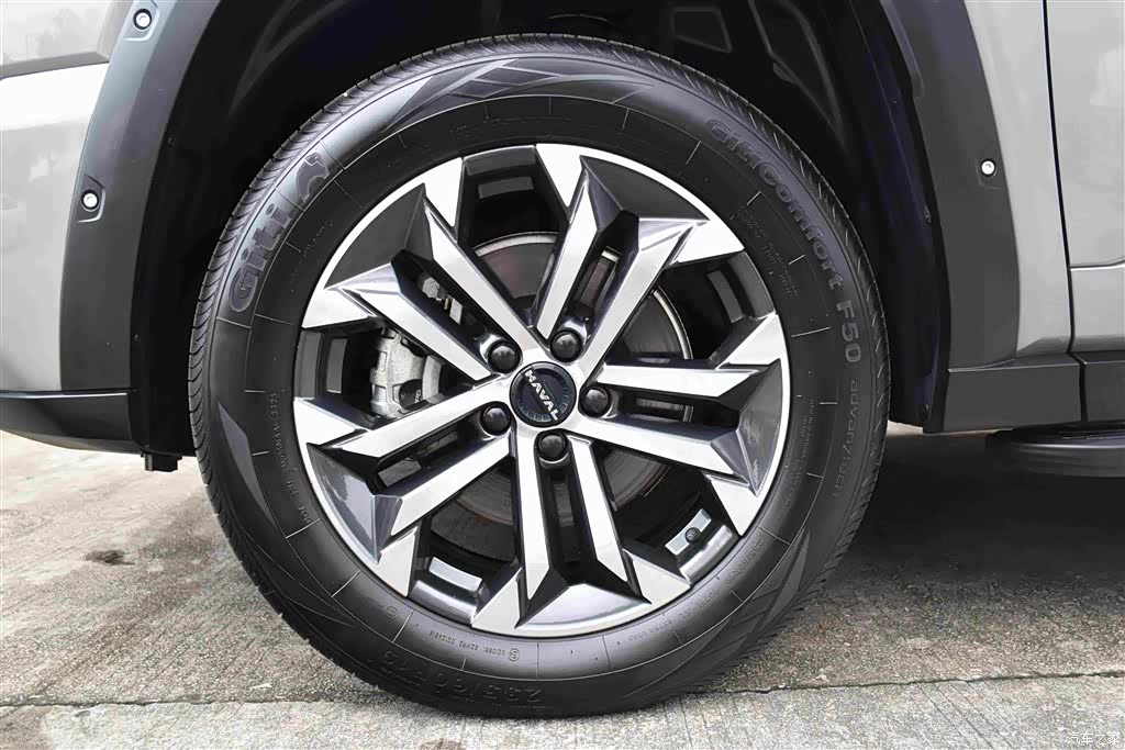 Haval Big Dog, 2024 19