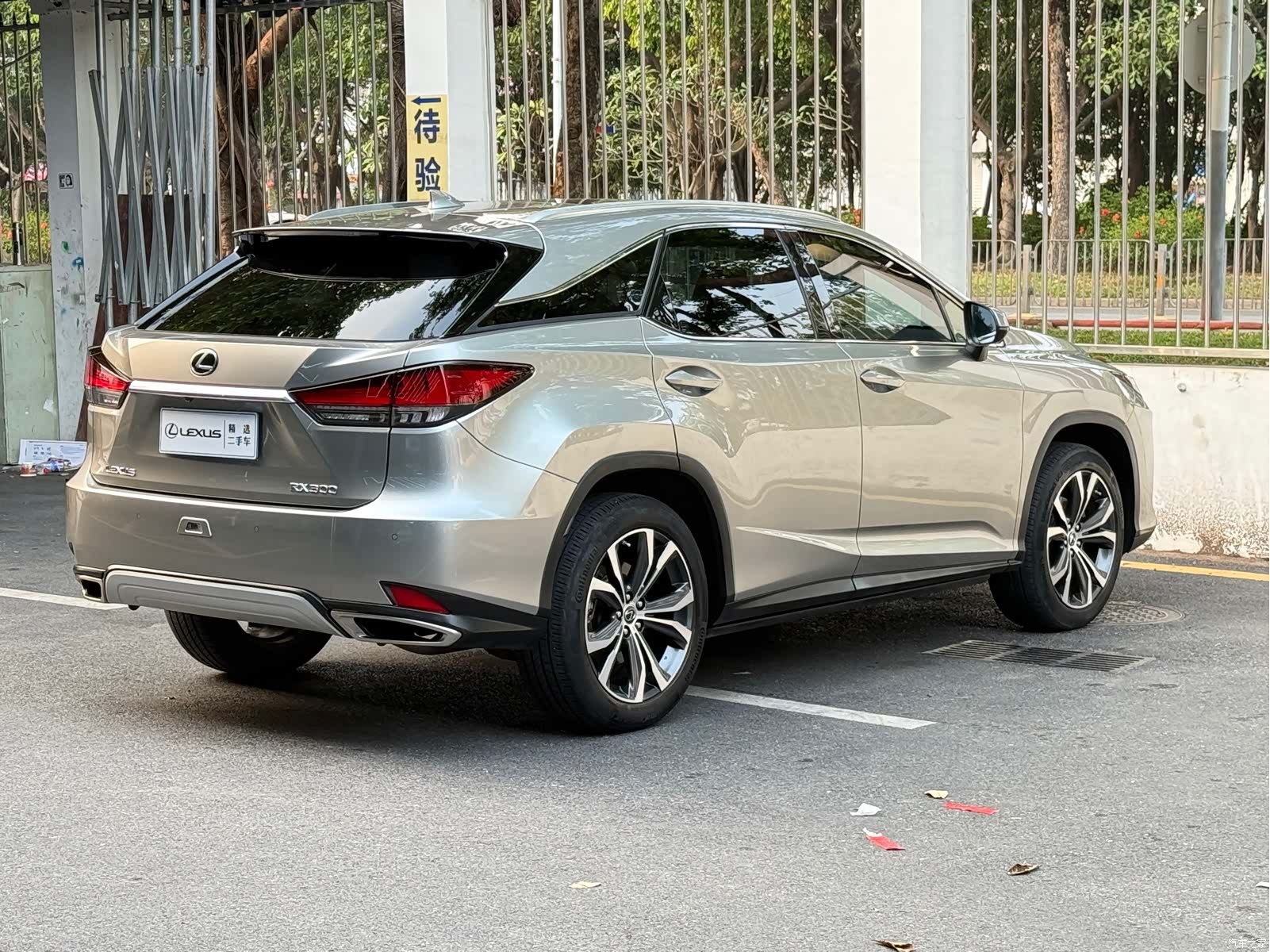 Lexus RX, 2020 6