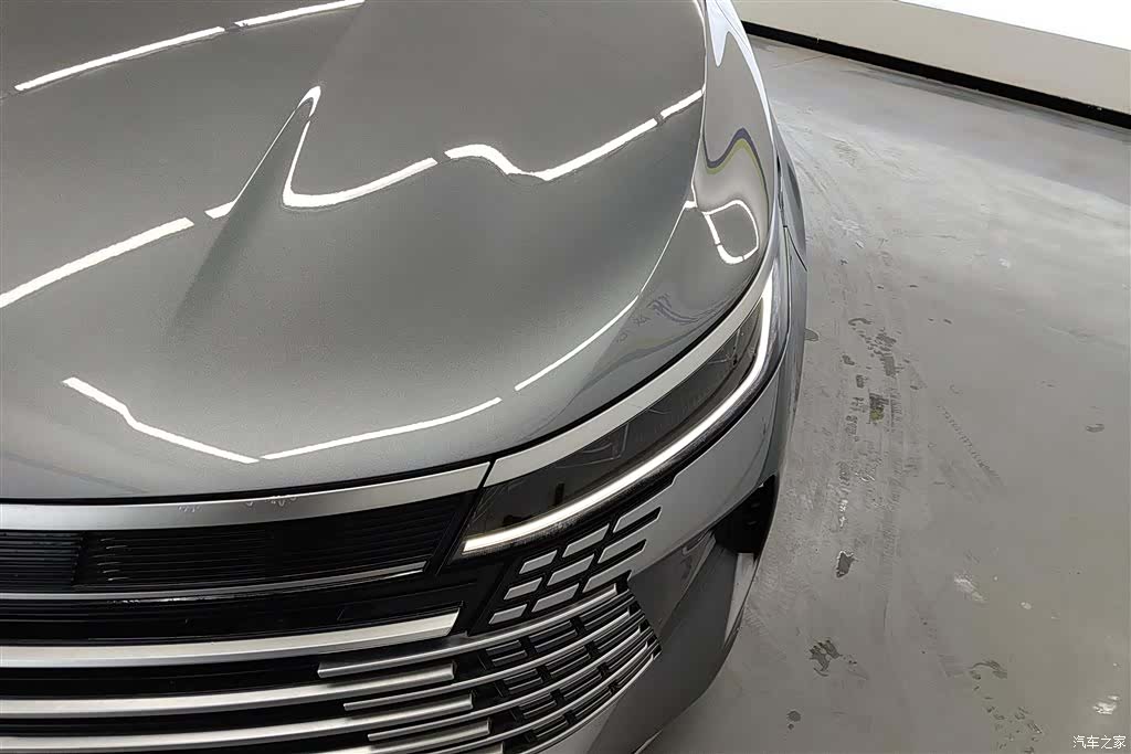 BYD Destroyer 05, 2025 все фото