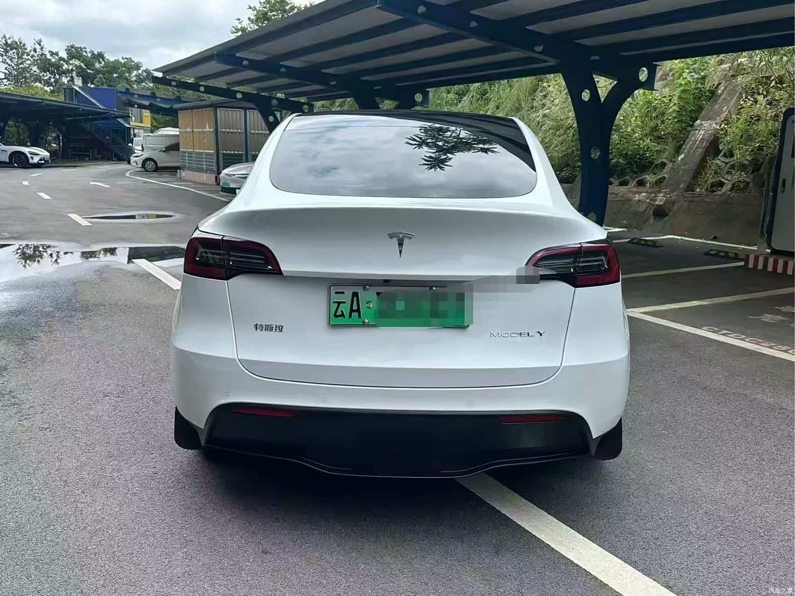 Tesla Model Y, 2024 все фото