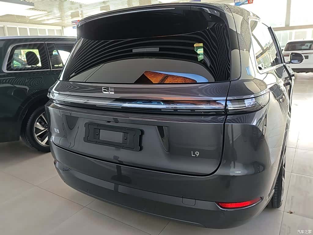 Li Auto L9, 2022 6