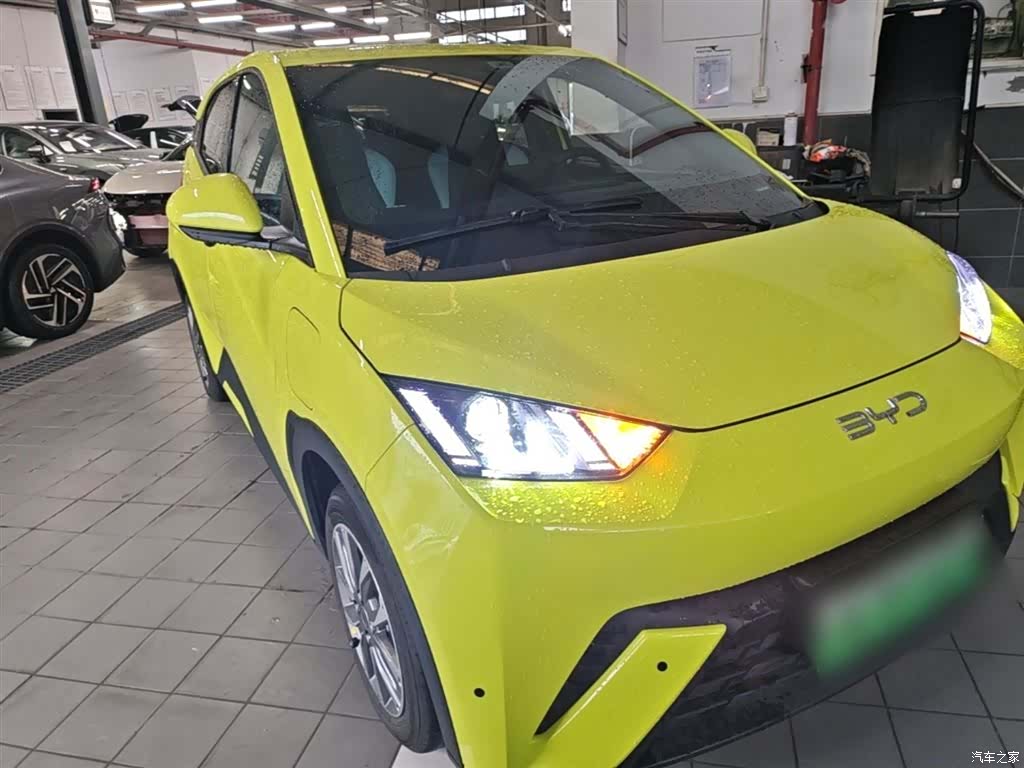 BYD Seagull, 2024 4