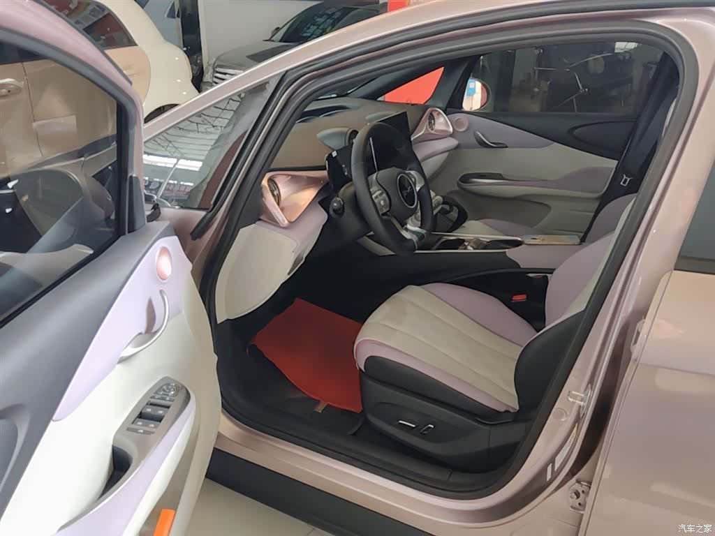 BYD Dolphin, 2025 12