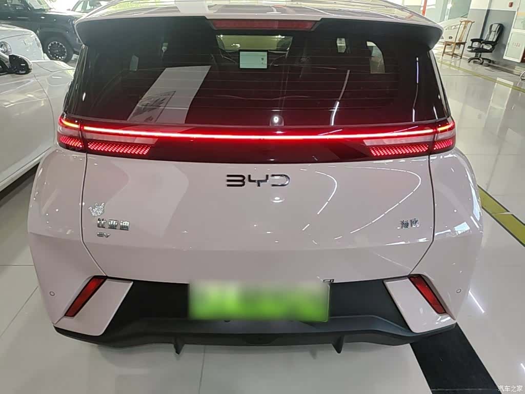 BYD Seagull, 2024 6