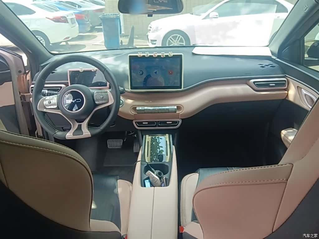 BYD Seagull, 2024 10