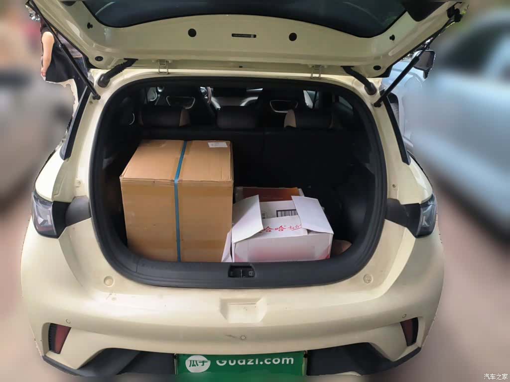 BYD Dolphin, 2024 10
