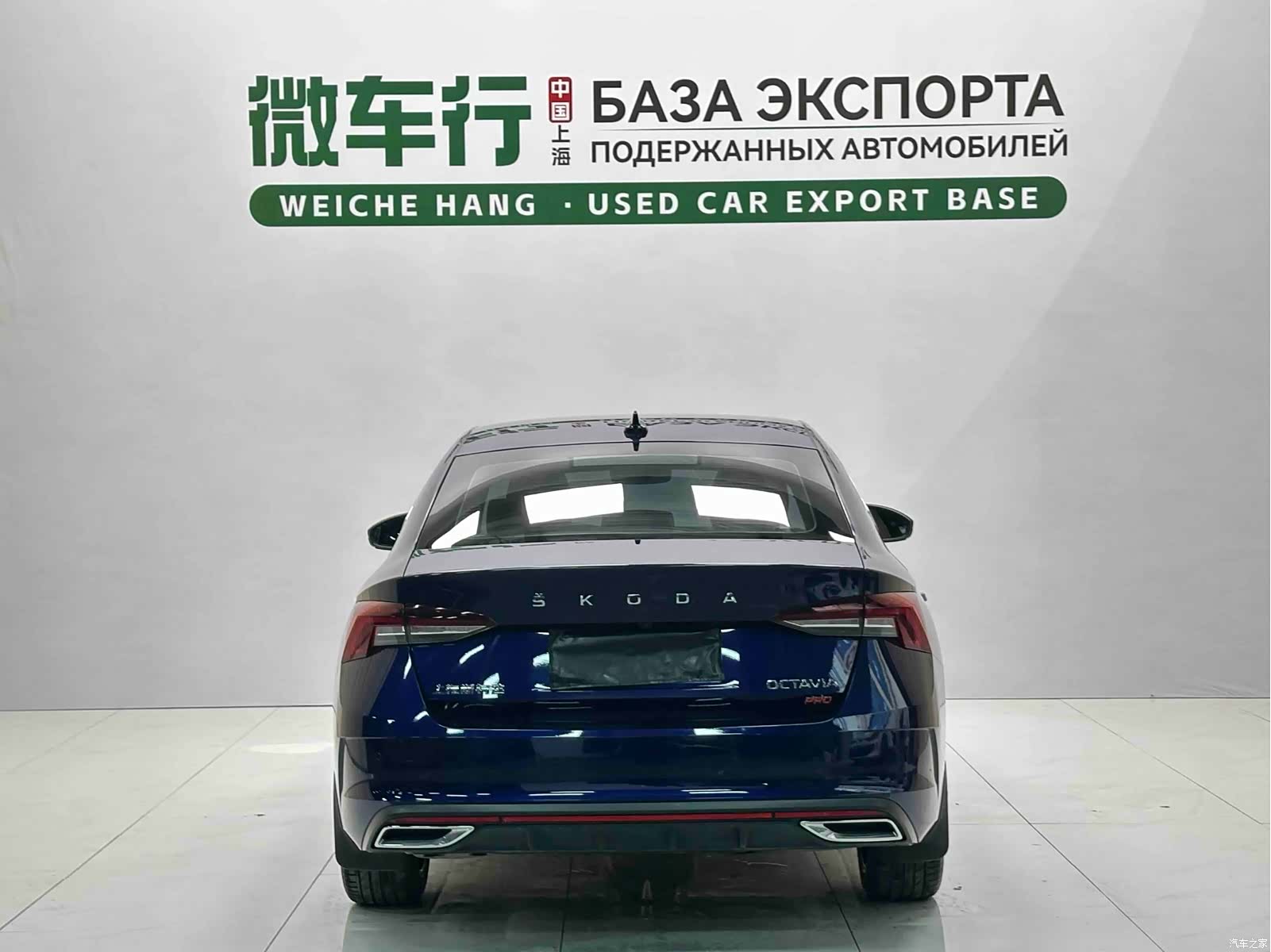 Skoda Octavia, 2023 все фото