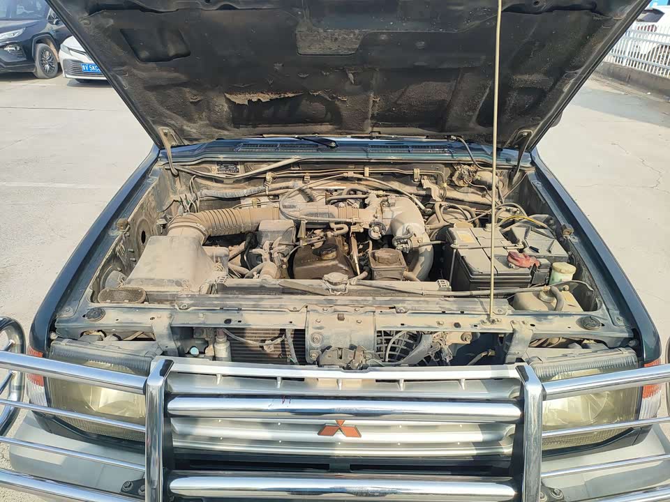 Leopaard Black King Kong