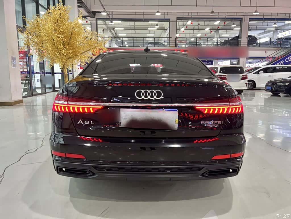 Audi A6L, 2020 16