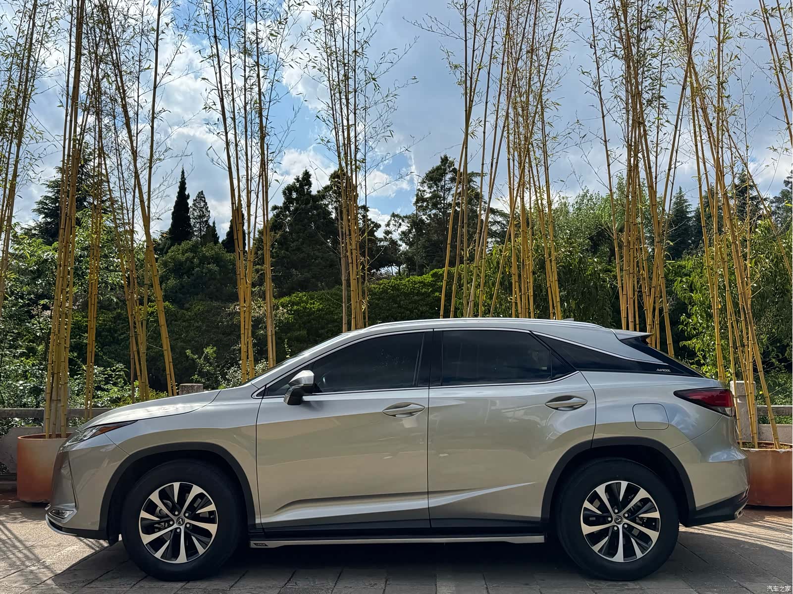 Lexus RX, 2022 4