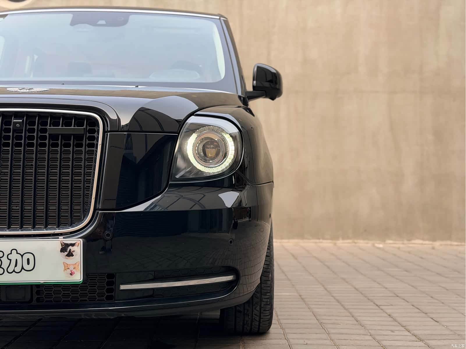 LEVC TX5, 2021 все фото