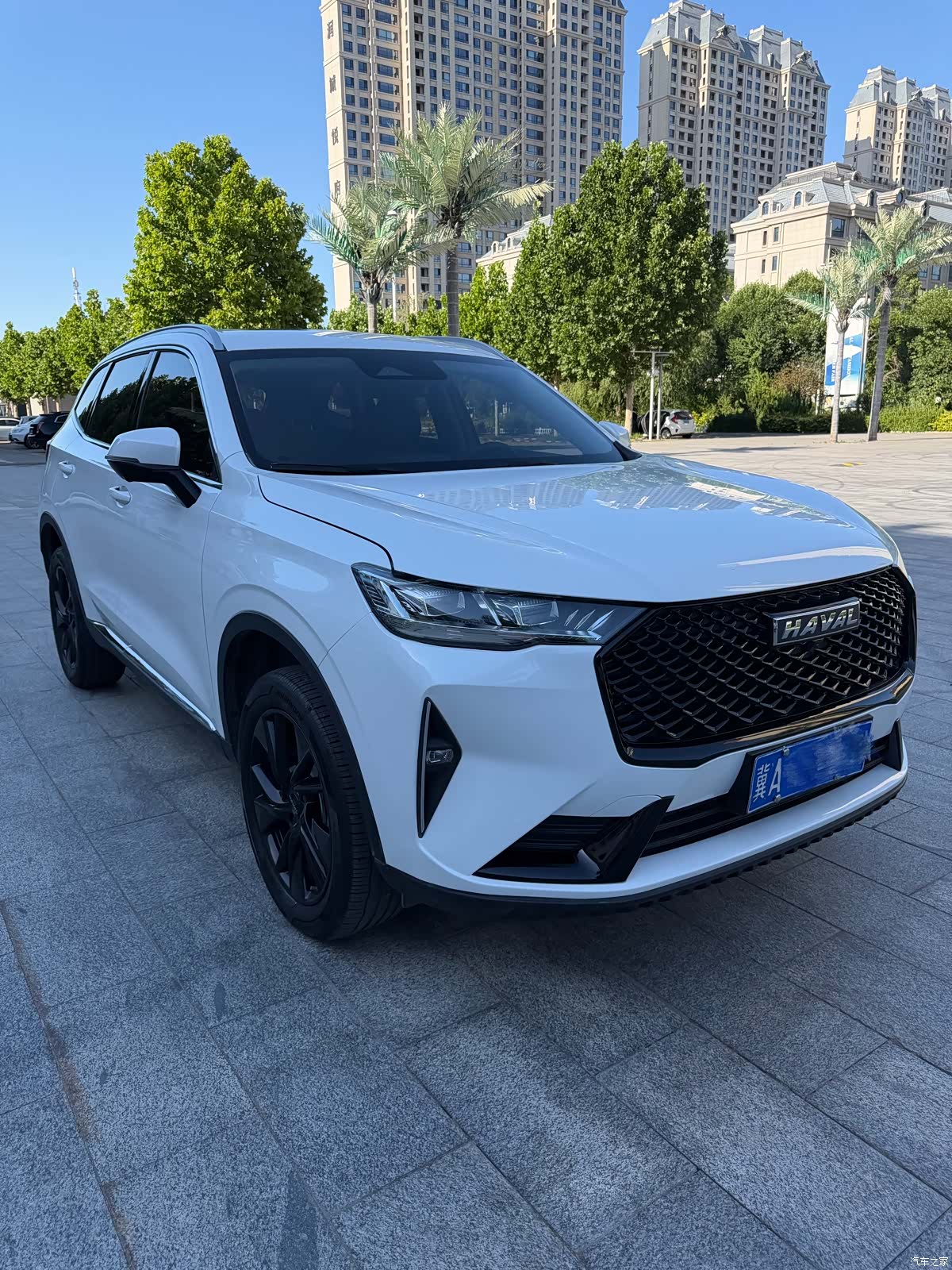 Haval H6, 2023 7
