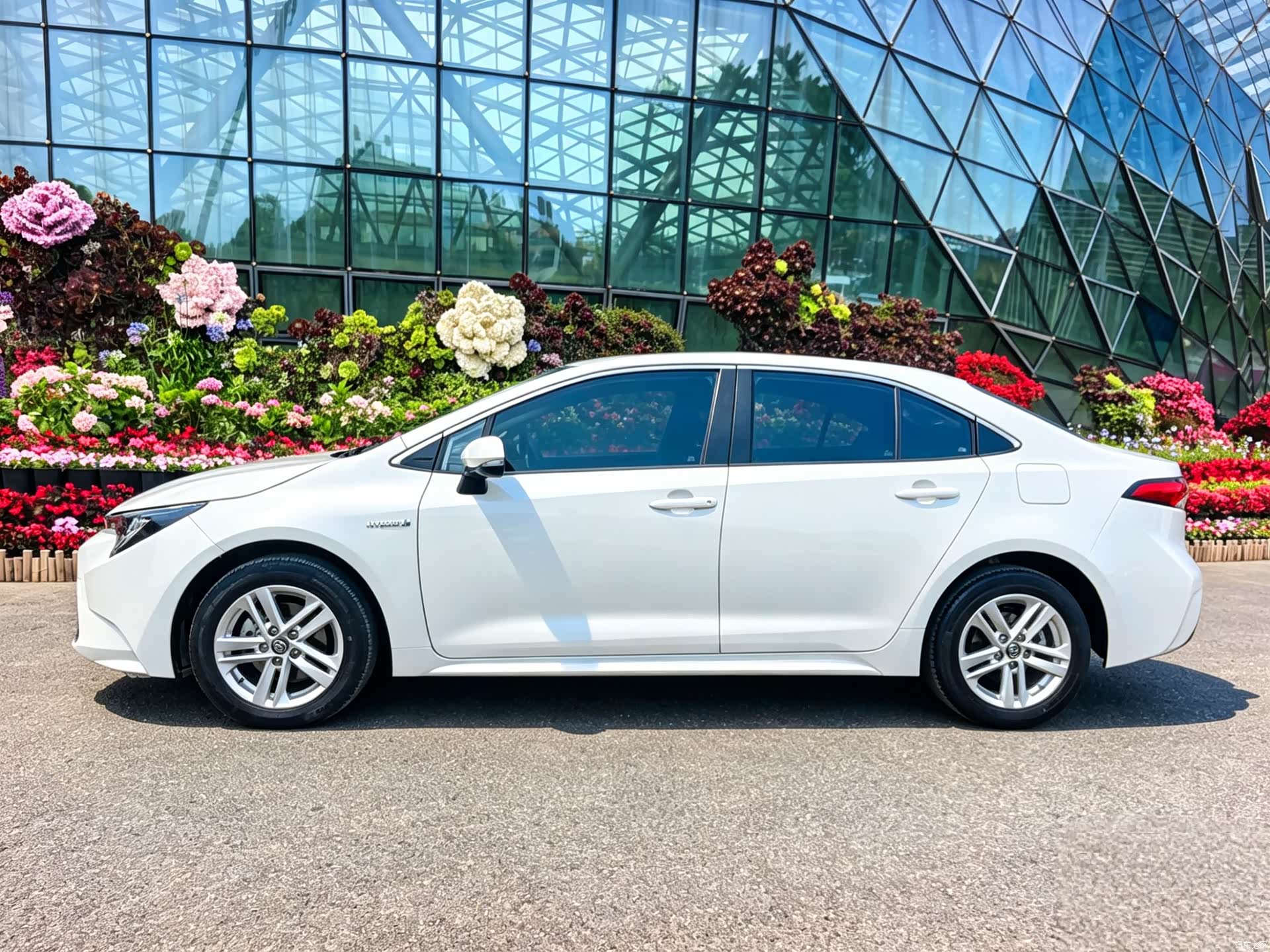 Toyota Levin, 2022 3