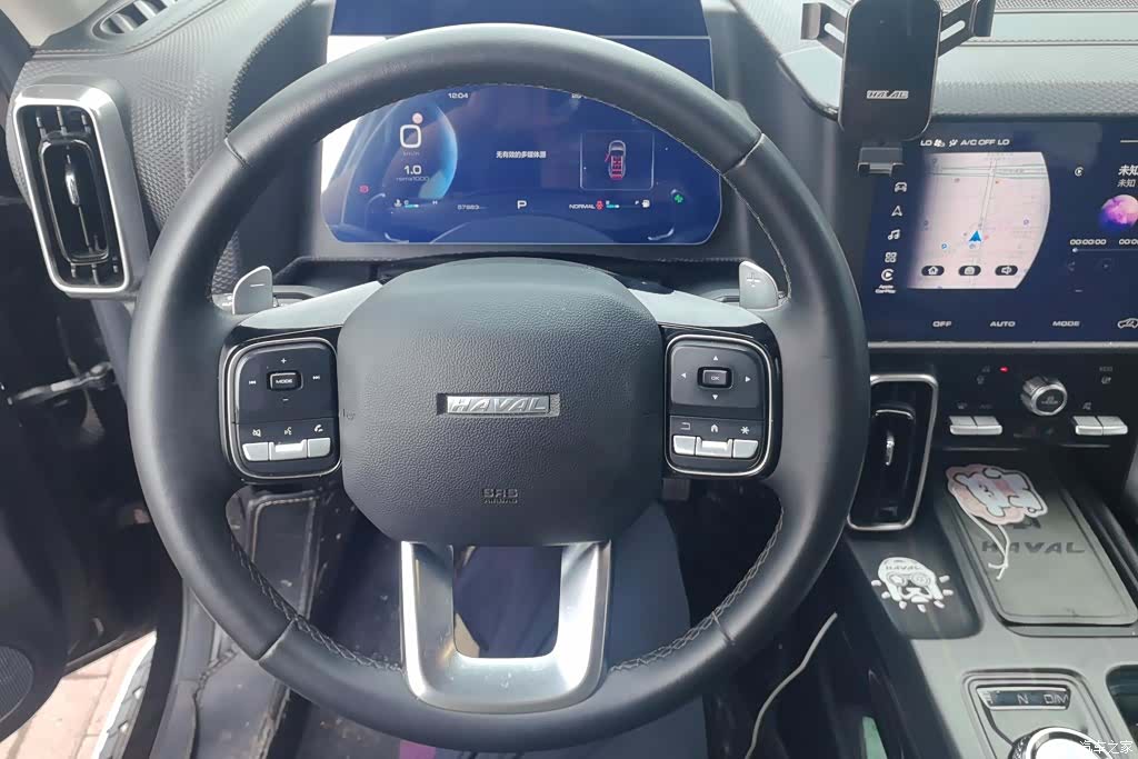 Haval Big Dog, 2022 15