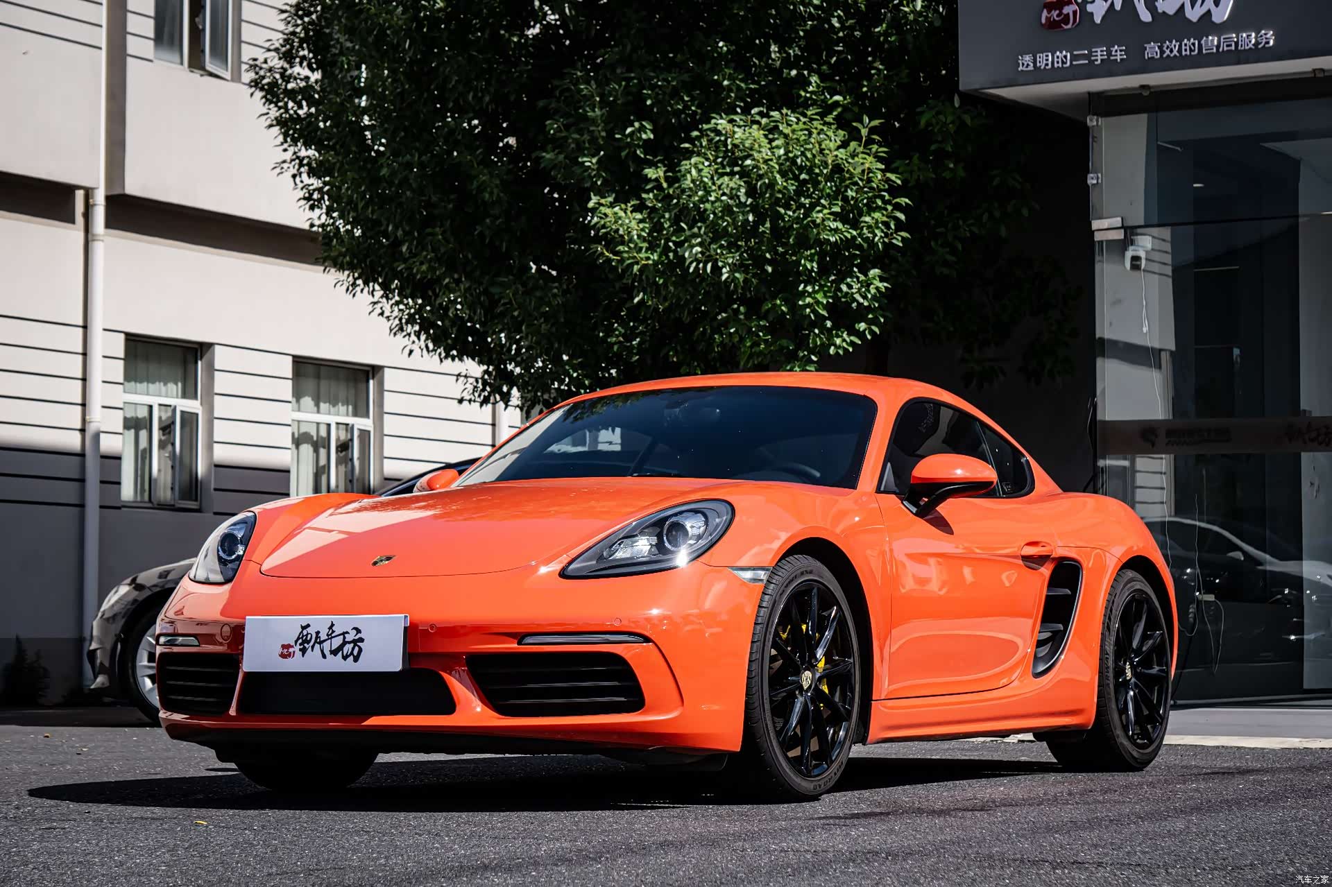 Porsche Cayman, 2017 все фото