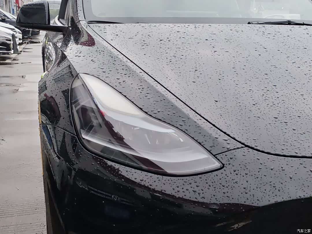 Tesla Model Y, 2022 все фото