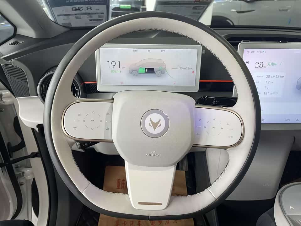 ARCFOX Polar fox koala