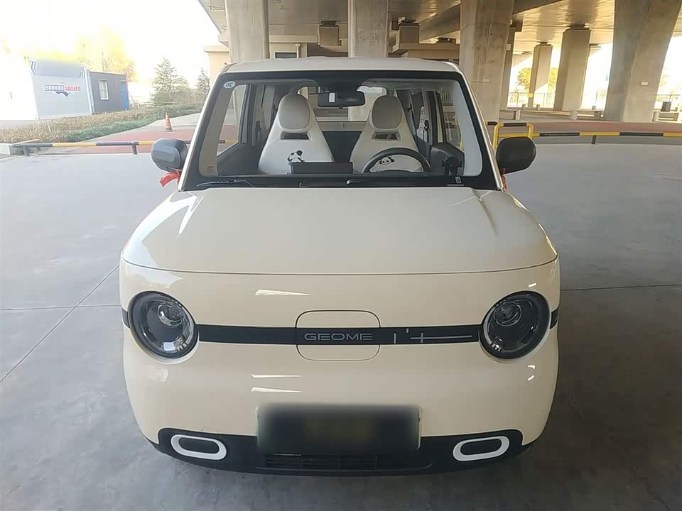 Geely Galaxy panda