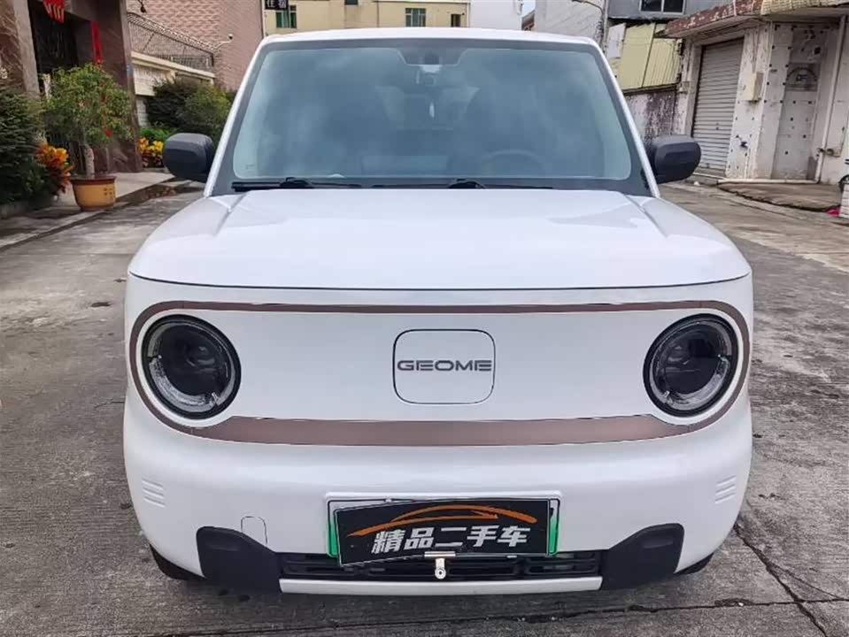 Geely Galaxy panda