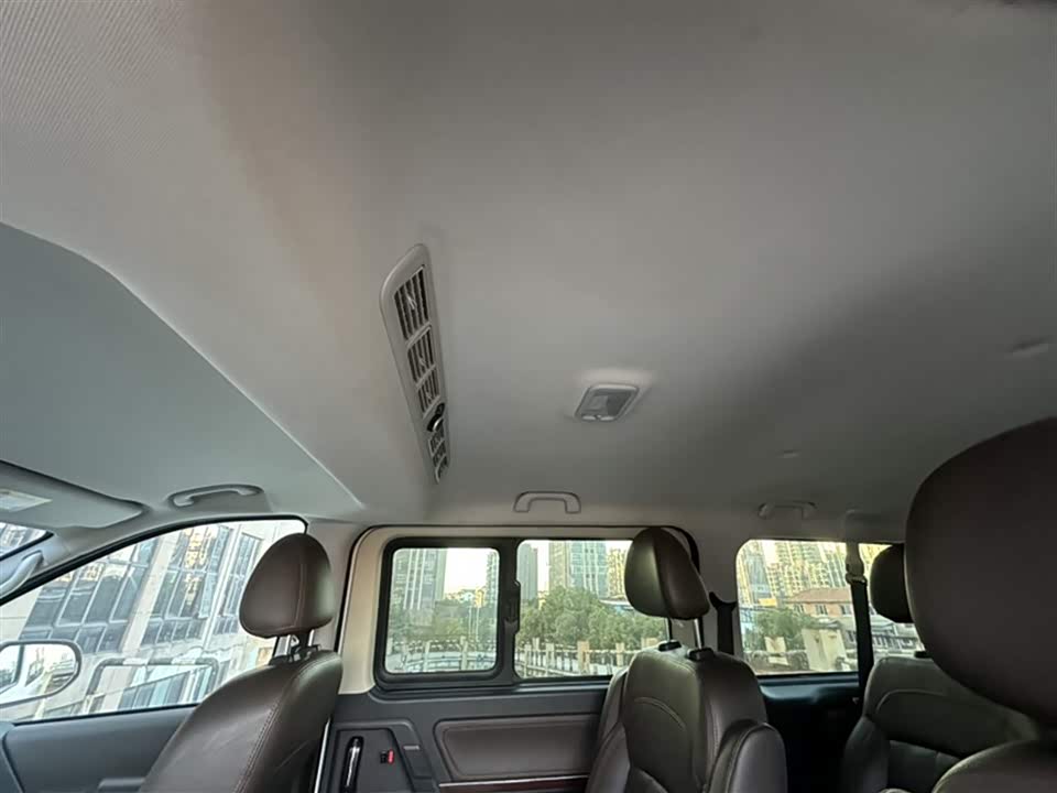 Forthing Lingzhi PLUS