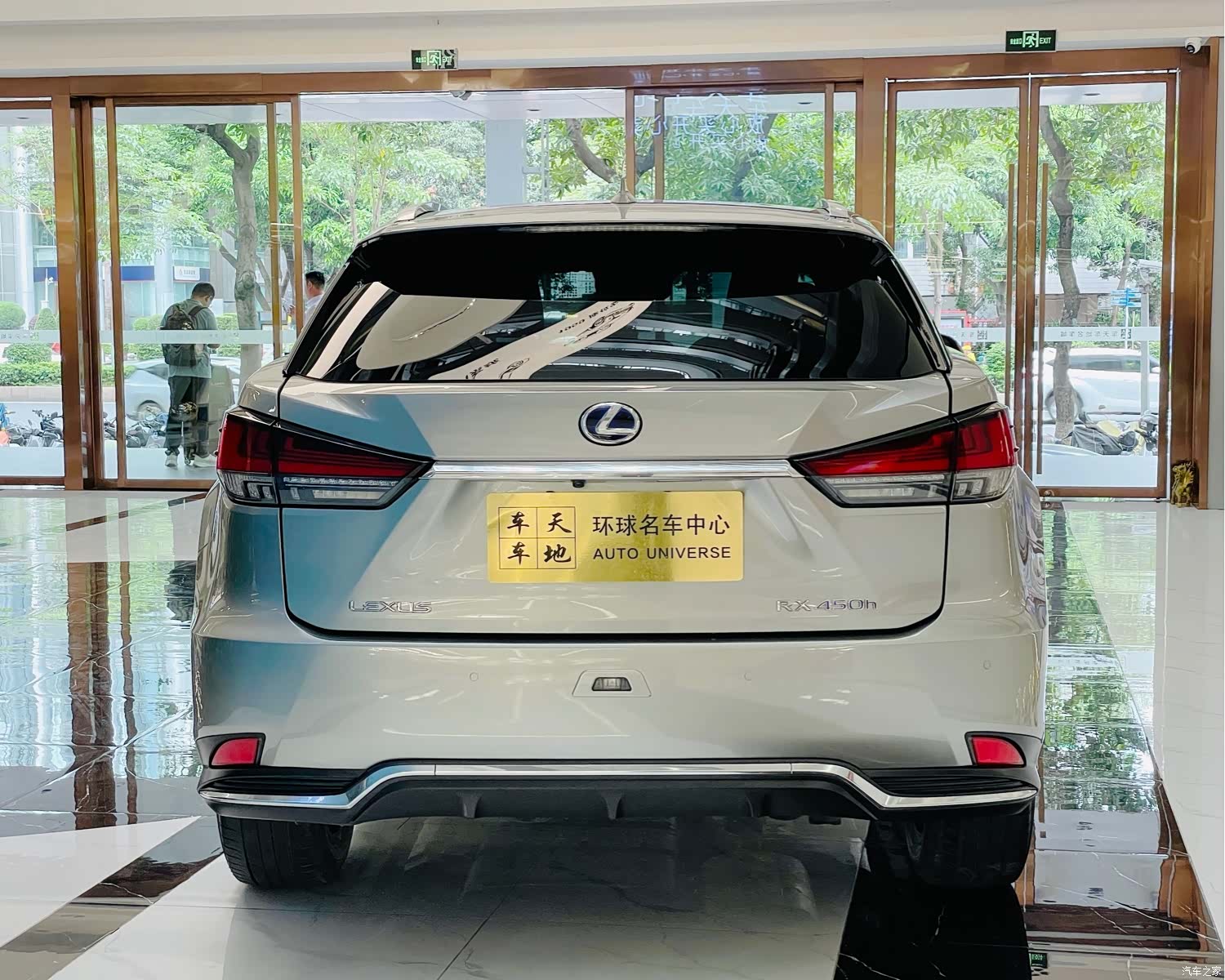Lexus RX, 2019 все фото