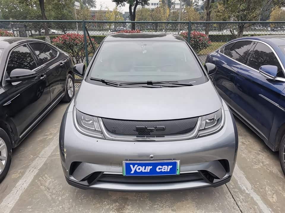 BYD dolphin