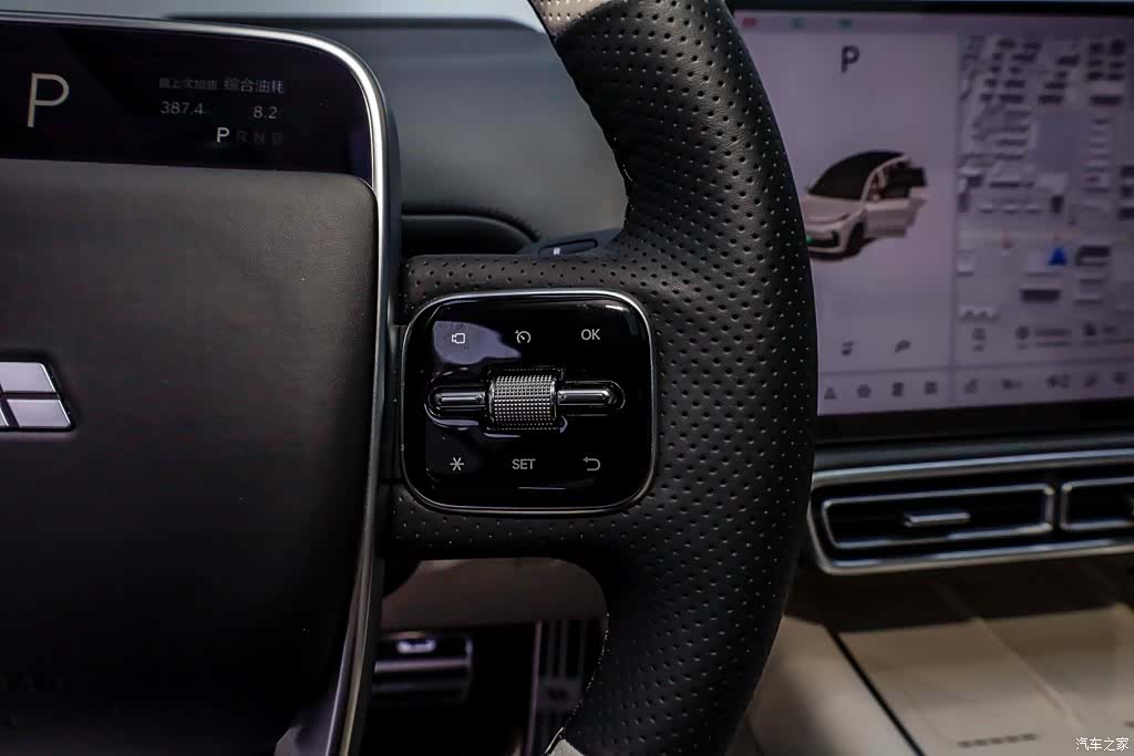 Li Auto L8, 2025 16