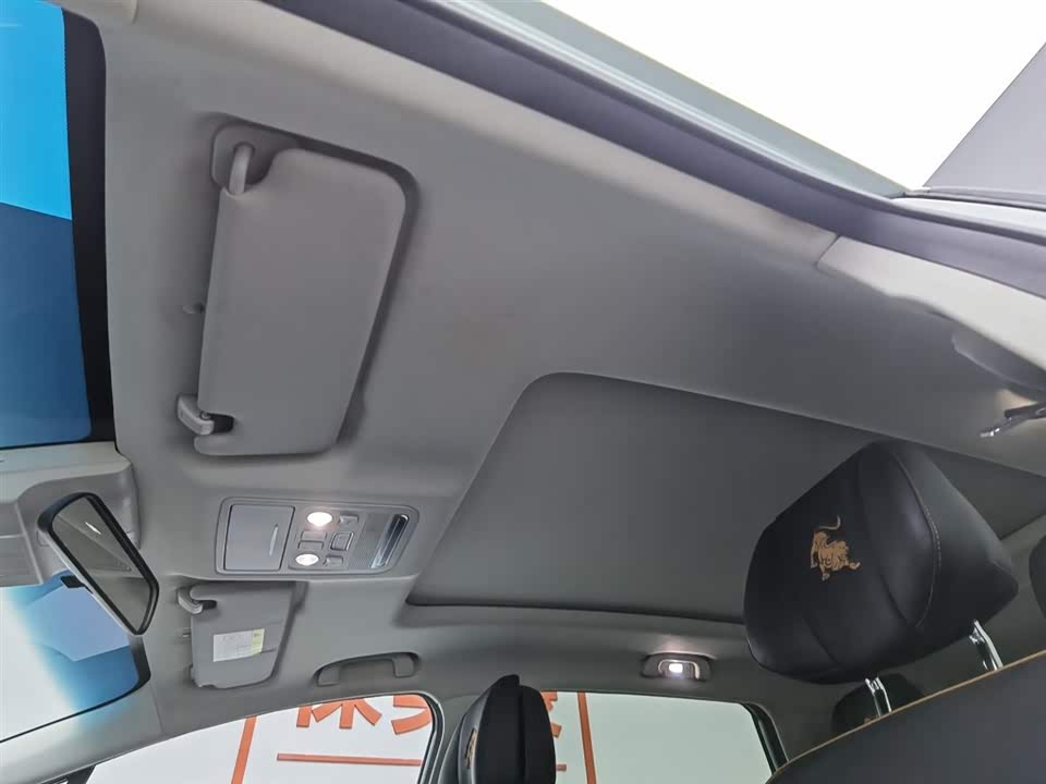 Forthing Popular yachts