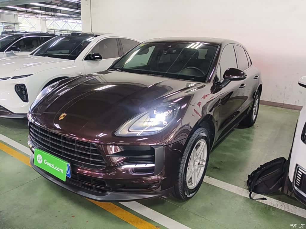 Macan Macan, 2020 2