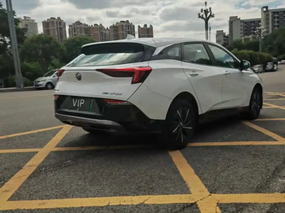 Buick Slightly blue 6