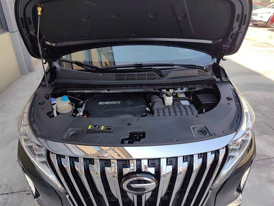Trumpchi Trumpchi M8 Trumpchi Trumpchi M8