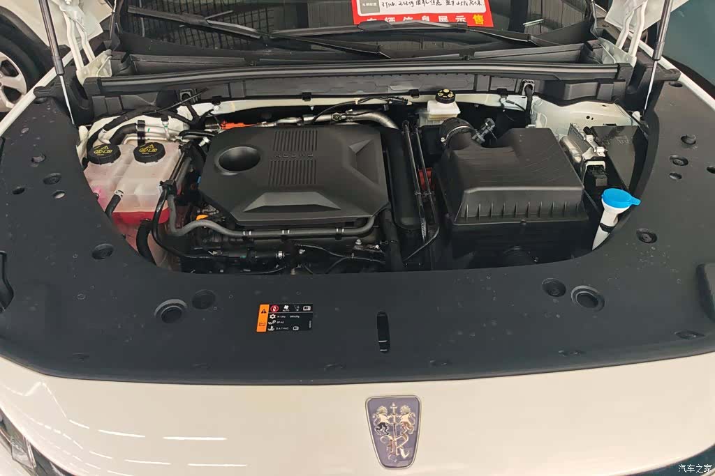 Roewe D5X, 2024 10
