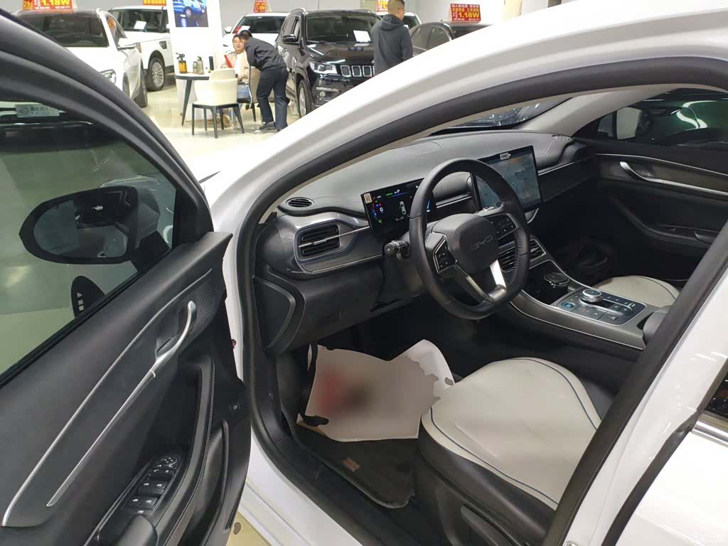 BYD Destroyer 05, 2024 12
